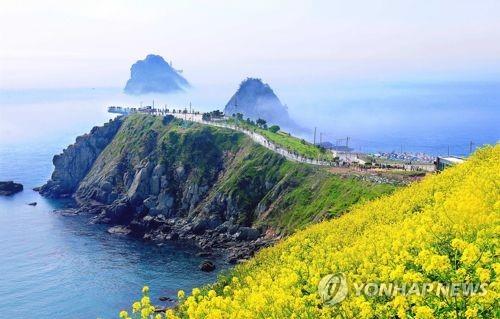 부산 남구 오륙도 해맞이공원과 유채꽃