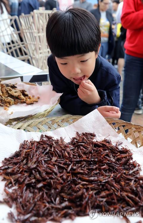 완주 와일드푸드축제의 메뚜기 튀김 