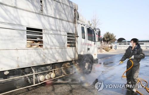 도축장 출입 차량 소독