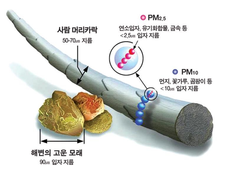 미세먼지 크기 비교