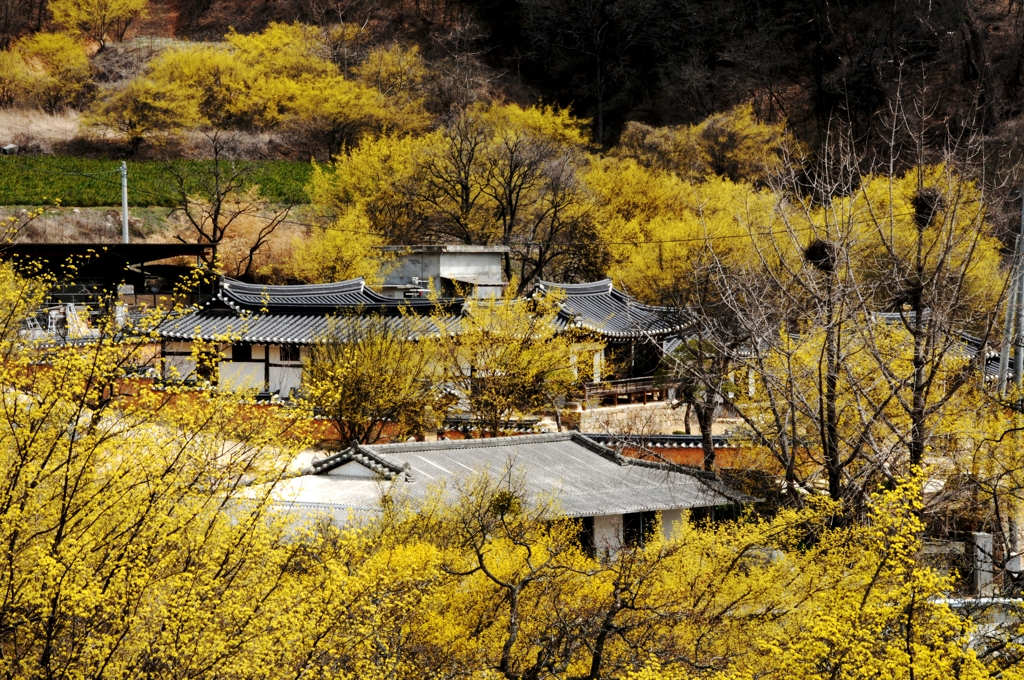 봉화 띠띠미 마을