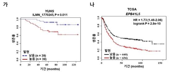 EPB41L5 과발현에 따른 위암 환자 낮은 생존율 그래프