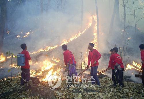 태국 북부 치앙마이에서 발생한 산불을 끄는 모습(자료사진)