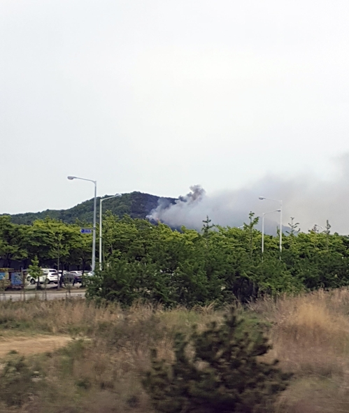 안산 대부도 야산서 불