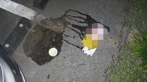 차량 파손한 꿀병