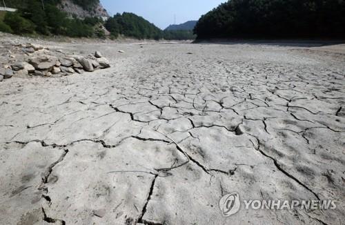거북등처럼 갈라진 강릉시민 식수원 상류