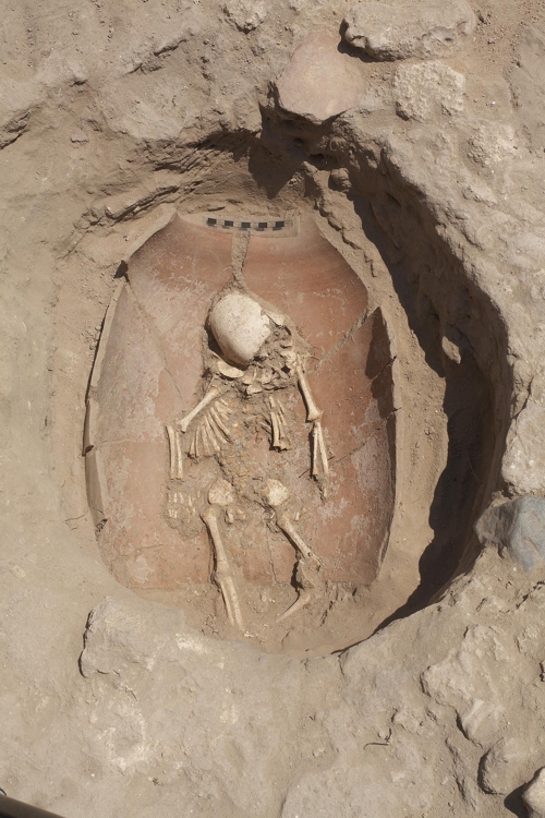 아슈켈론 묘지에서 발굴된 블레셋인 유아 유골 