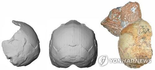 컴퓨터 그래픽으로 복원한 그리스 동굴 두개골 화석