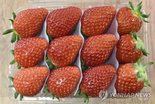 한국산 딸기