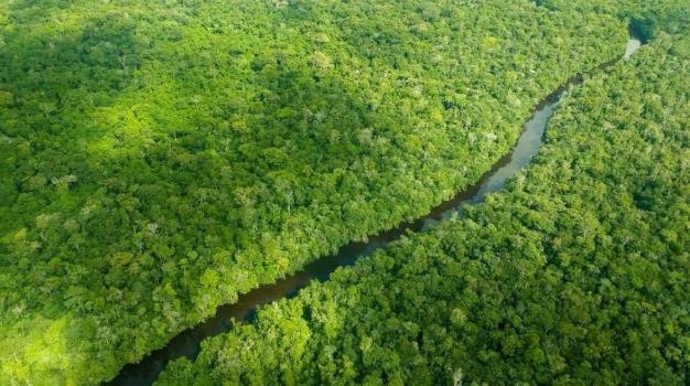 '지구의 허파' 아마존 열대우림
