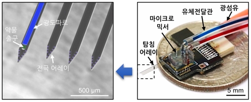 브레인 칩을 구성하는 다기능 탐침