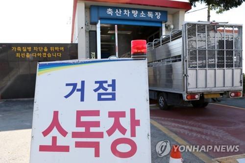 아프리카돼지열병 방역