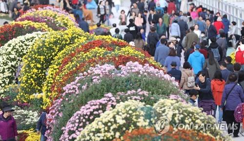 2018년 마산국화축제장