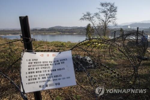 50일 넘긴 아프리카돼지열병
