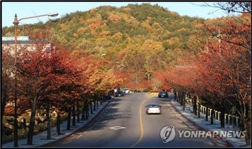 팔공산 순환도로