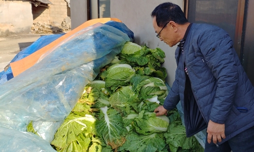 '암 집단발병' 장점마을의 팔리지 않는 배추