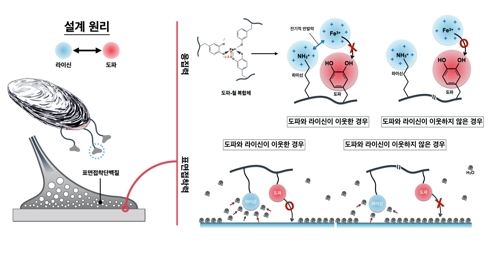 연구 개념도