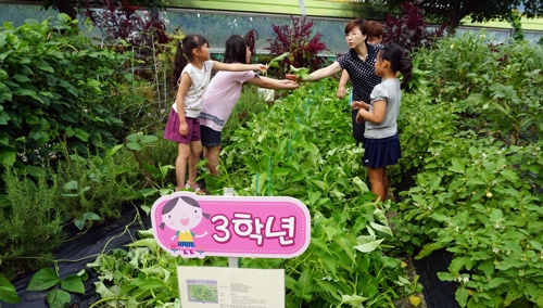 공주 우성초 지난해 9월 학교 텃밭에서 농작물 수확