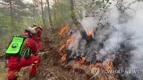 이른 아침부터 다시 시작된 진화작업