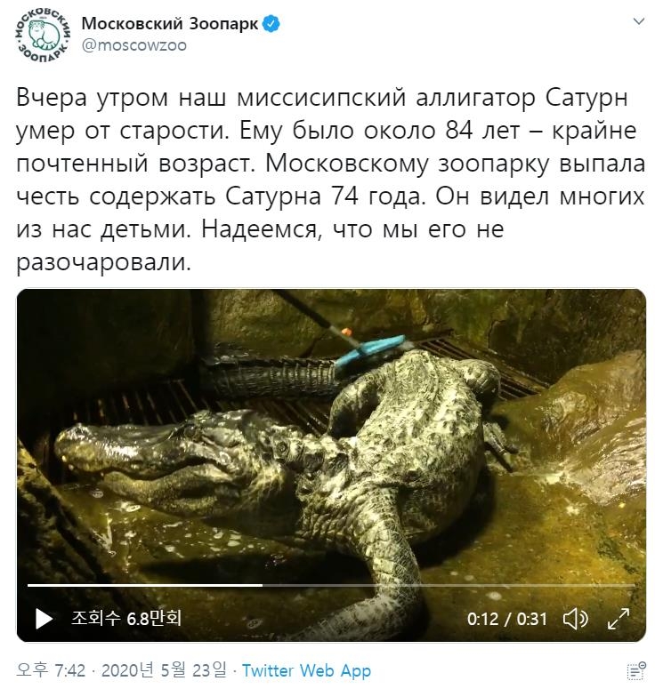 악어 '새턴' 부고를 알리는 모스크바 동물원 