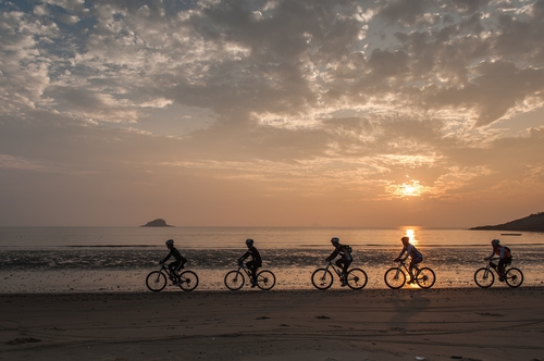 '명품 숲·해안 품은' 신안 섬 자전거여행 인기