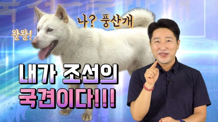 [연통TV] '호랑이도 잡는다'는 북한 토종 국견 풍산개 - 3