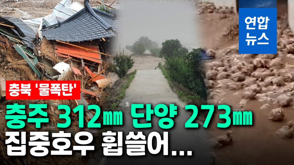 [영상] 충북 312mm·단양 273mm '물폭탄'…피해 눈덩이 - 2