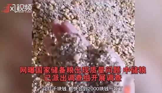 지난달 중국에서 퍼진 비축 옥수수 보관실태 고발 영상 
