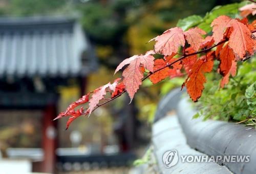 천년고찰 정암사