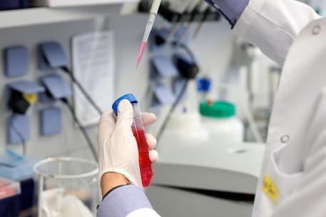 이탈리아 한 연구기관에서 코로나19 백신을 연구하는 모습. [ANSA 통신 자료사진] 