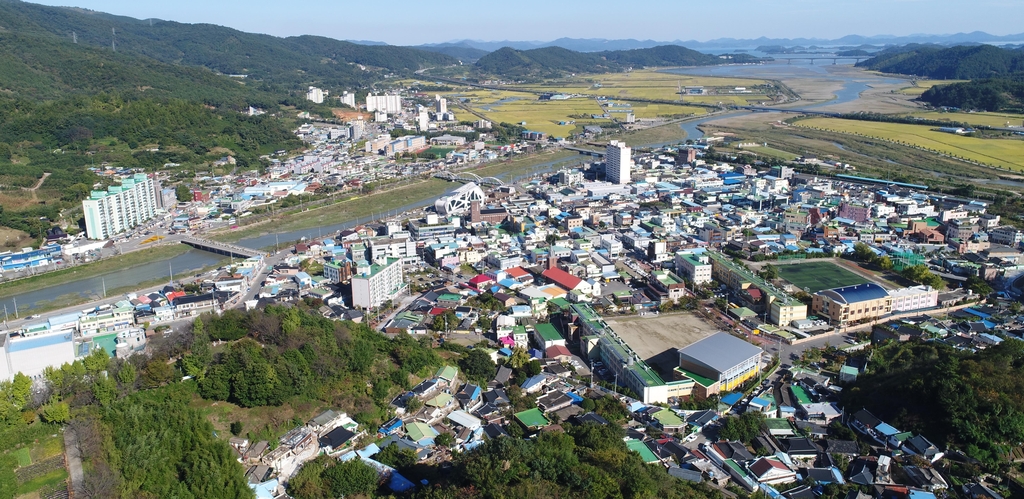 벌교읍 전경