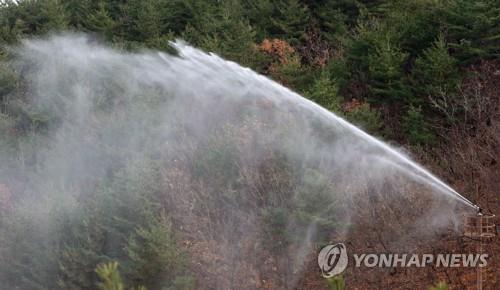 (강릉=연합뉴스) 이해용 기자 = 강원 강릉시가 18일 강동면 안인진리 임해자연휴양림에서 산불 발생 시 초동진화하기 위한 수관 수막 설비를 선보이고 있다.