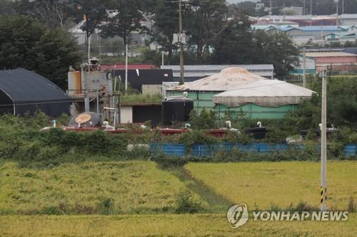 시간이 멈춘 양돈농가