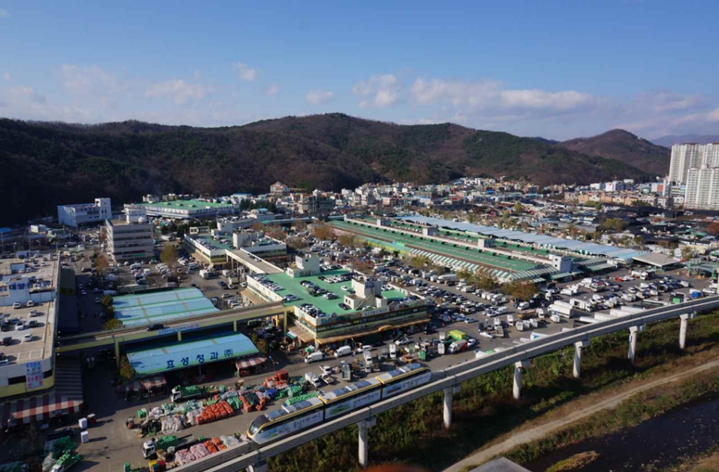 대구농수산물도매시장 청과부류