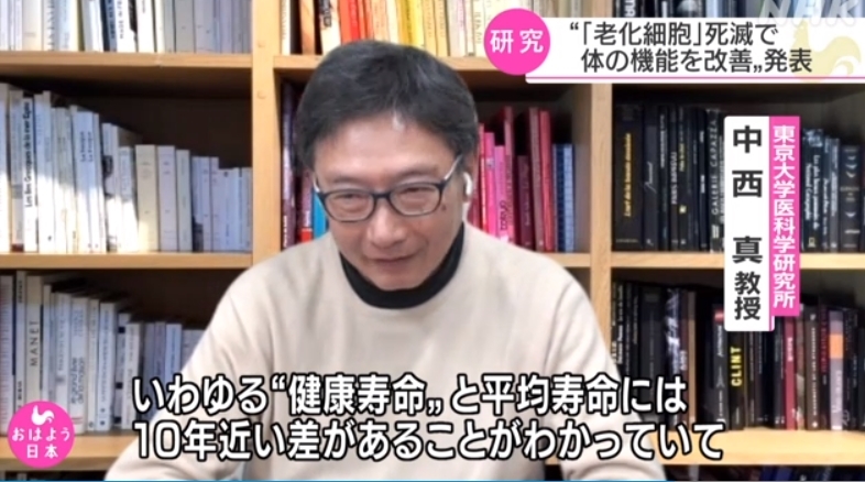 (도쿄=연합뉴스) 도쿄대학 의과학연구소의 나카니시 마코토(中西真) 교수가 15일 NHK 방송을 통해 노화(老化)세포를 효율적으로 제거할 방법을 발견한 것에 대해 설명하고 있다.