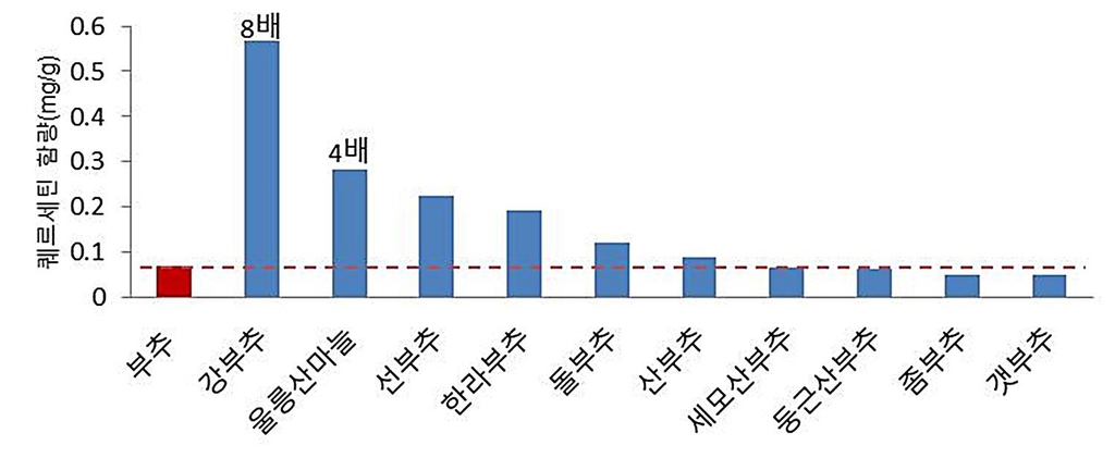 자생 부추 속 퀘르세틴 함량