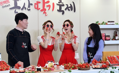 온택트 논산딸기축제 클릭 열기 '후끈'