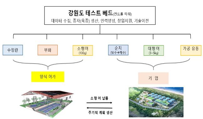테스트 베드