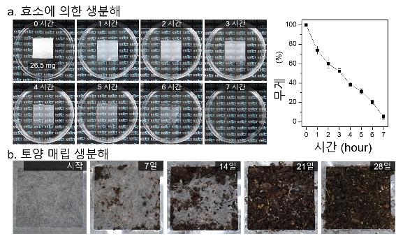 마스크 필터의 생분해 과정