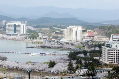 지난해 경주 보문관광단지 벚꽃