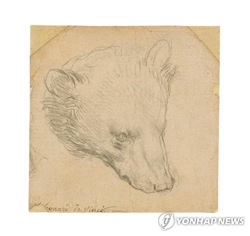 레오나르도 다빈치의 작품 '곰의 머리'(Head of a bear) [로이터=연합뉴스]