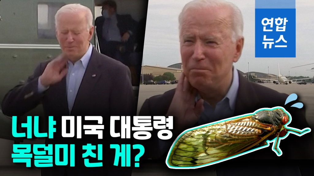 [영상] 바이든 "방금 하나 잡았다"…첫 해외순방 매미떼 소동 - 2