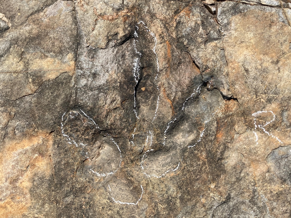 의성군 남대천 육식공룡 발자국 화석