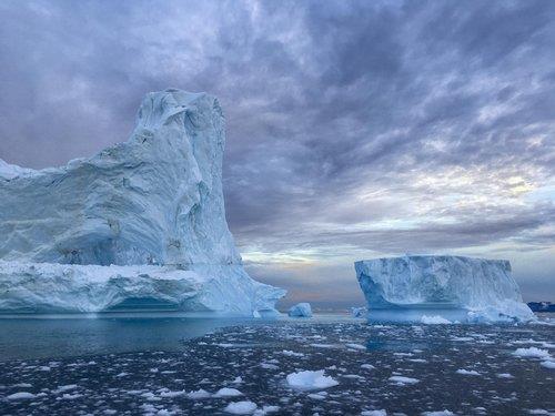 2020년 국제해양영화제 개막작 '북극 최후의 빙하'