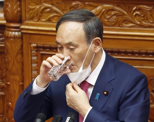 물 마시는 스가