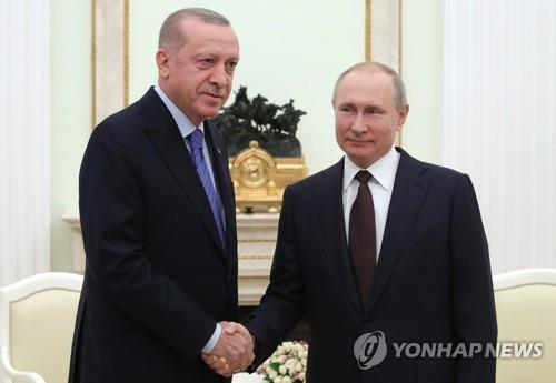 지난해 3월 러시아에서 만난 푸틴(우) 러시아 대통령과 에르도안 터키 대통령