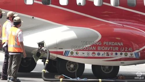팜유 최대 생산국 인도네시아, 비행기 연료에 섞어 비행 