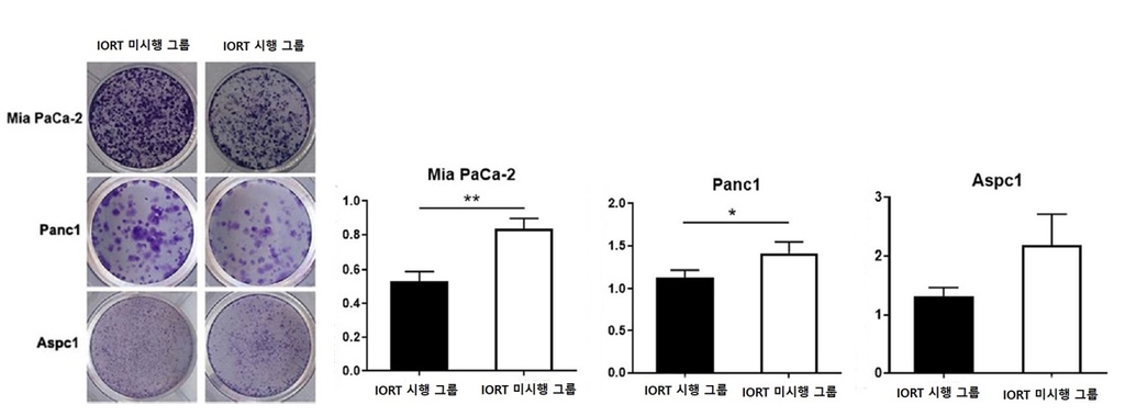 IORT 시행 및 미시행 그룹별 췌장암 세포주 증식 비교