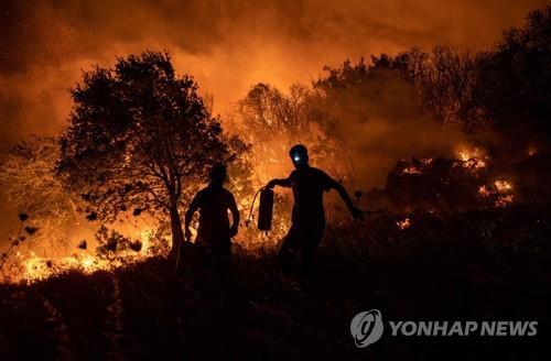 8월 초 터키 남부 대규모 산불 발생 현장