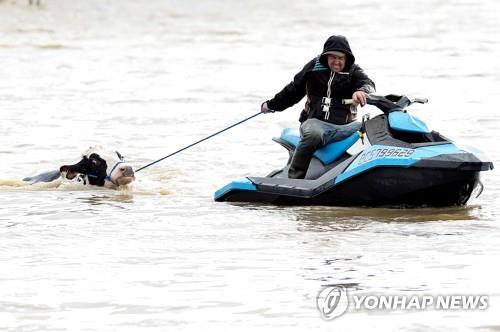 "같이 살아야지"